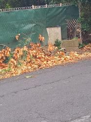 Espondeilhan, notre beau village (07/2025)